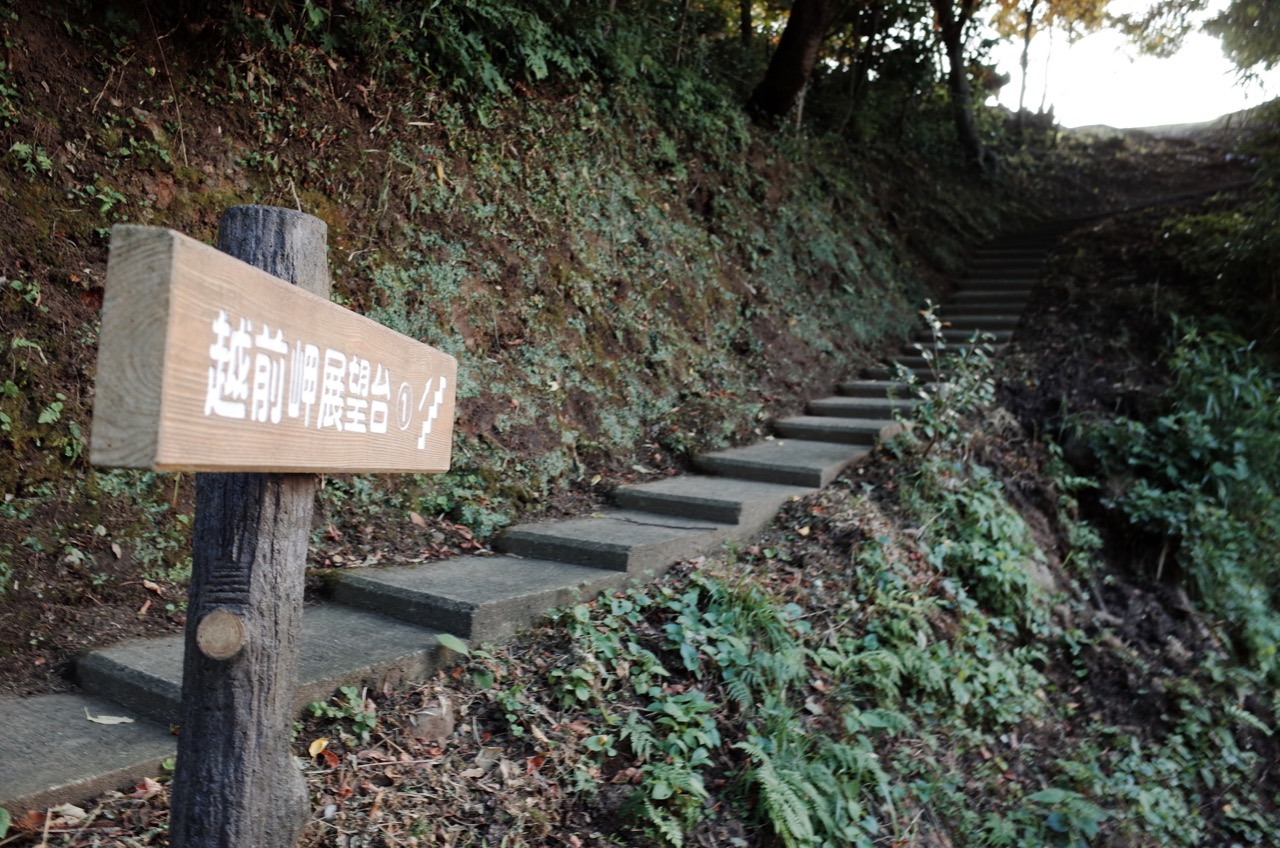 越前岬展望台への階段